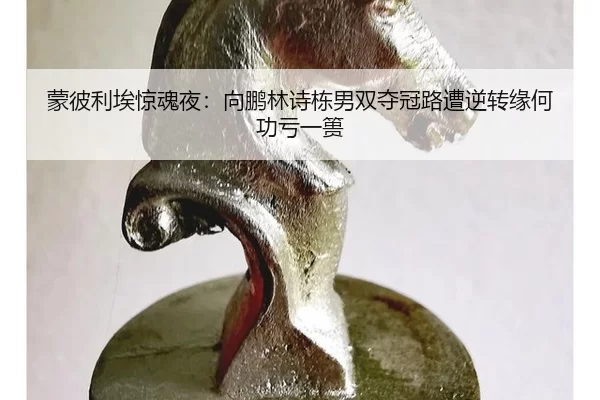 meng-bi-li-ai-jing-hun-ye-xiang-peng-lin-shi-dong-nan-shuang-duo-guan-lu-zao-ni-zhuan-yuan-he-gong-kui-yi-kui-2-664.jpg