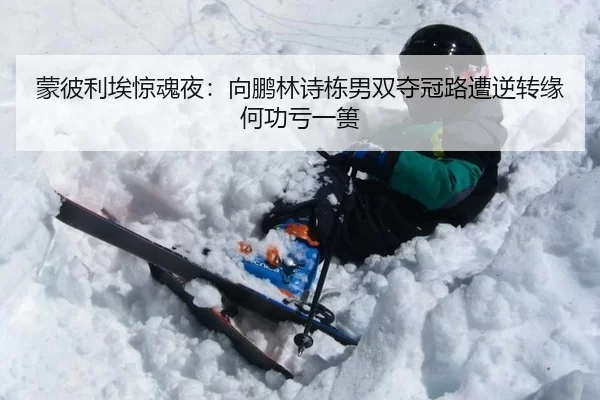 蒙彼利埃惊魂夜：向鹏林诗栋男双夺冠路遭逆转缘何功亏一篑